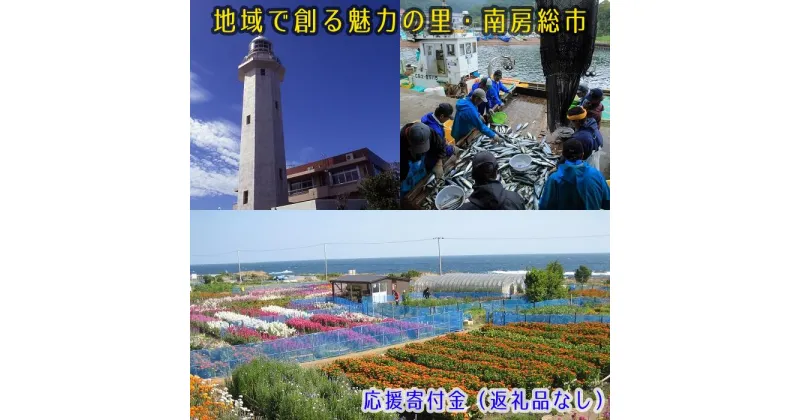 【ふるさと納税】（返礼品なし）地域で創る魅力の里・南房総市　応援寄付金