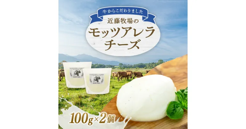 【ふるさと納税】 近藤牧場のモッツアレラチーズ 100g×2個 千葉県 南房総市 新鮮 牛乳 ミルキー さわやか フレッシュチーズ 手作り 食感 モッツァレラ チーズ おつまみ トッピング 乳製品 送料無料