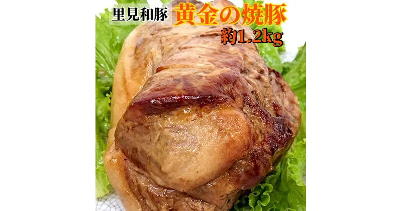 【ふるさと納税】 黄金の 焼豚 肩 ロース 肉 1本 約1.2kg 千葉県 南房総市 チャーシュー 豚肉 里見和豚 ブランド豚 国産 甘い 脂 贅沢 丸ごと 低温 おつまみ おかず ラーメン お取り寄せ 冷凍 送料無料