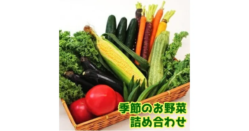 【ふるさと納税】 【南房総市産】季節のお野菜詰め合わせ 千葉県 南房総市 旬 新鮮 旬野菜 セット レシピ アレンジ 栄養素 食材 野菜BOX 野菜セット 春野菜 夏野菜 秋野菜 冬野菜 お取り寄せ グルメ 送料無料