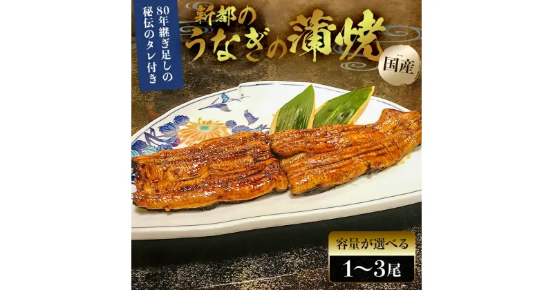 【ふるさと納税】【容量が選べる】 国産 新都の職人手焼き うなぎの蒲焼 タレ付き のし対応可能 千葉県 南房総市 水産物 魚介類 丑の日 鰻 国産 関東風 冷凍 炭火焼 うな丼 うな重 送料無料