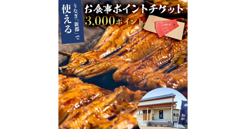 【ふるさと納税】 のし対応可能 うなぎ 新都で使えるお食事ポイントチケット 3000ポイント 千葉県 南房総市 活鰻 炭火 焼く 蒲焼 食事券 金券 刺身 風味 海の幸 送料無料