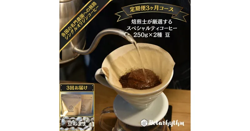 【ふるさと納税】【定期便】 スペシャルティコーヒー 【豆】 250g×2種 3ヶ月 千葉県 南房総市 個性 焙煎 ブラジル コロンビア グアテマラ インドネシア ケニア エチオピア フレッシュな豆 送料無料