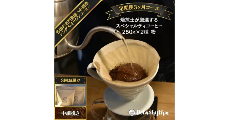 【ふるさと納税】 【定期便】 スペシャルティコーヒー【粉】 250g×2種 3ヶ月 千葉県 南房総市 個性 焙煎 ブラジル コロンビア グアテマラ インドネシア ケニア エチオピア フレッシュな豆 送料無料