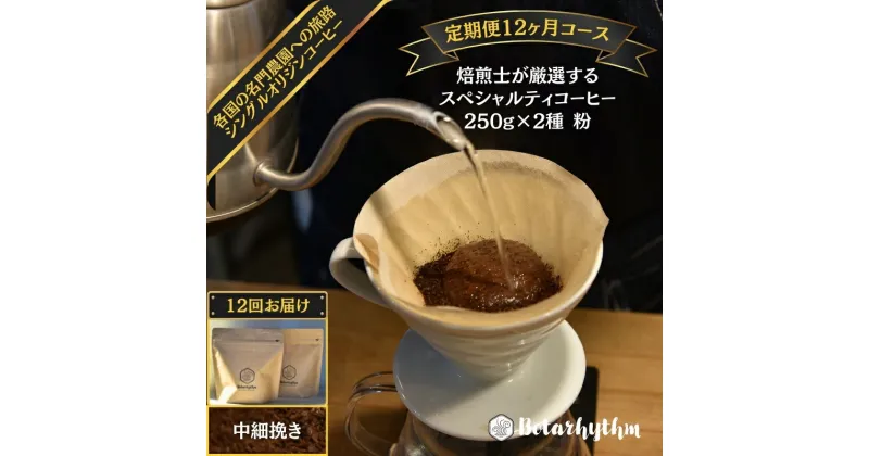 【ふるさと納税】 【定期便】スペシャルティコーヒー【粉】 250g×2種 12ヶ月 千葉県 南房総市 個性 焙煎 ブラジル コロンビア グアテマラ インドネシア ケニア エチオピア フレッシュ コーヒー豆 送料無料