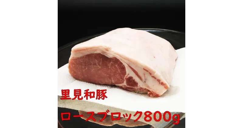 【ふるさと納税】 豚肉 里見和豚 とんかつ用 ロースブロック 800g 真空パック 白色トレイ不使用