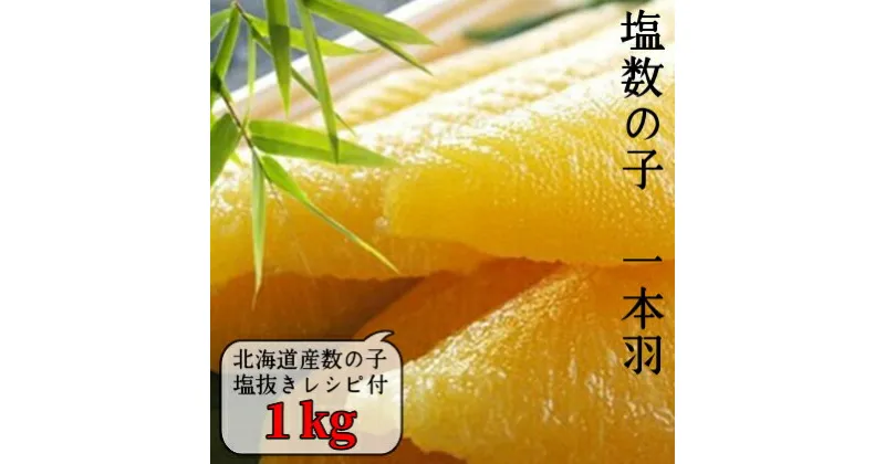 【ふるさと納税】 国産 塩数の子ジャンボ 北海道産 1本羽 1kg 小分け 500g×2袋 千葉県 南房総市 ニシン 大きい 食感 バリバリ 塩漬け 包装 レシピ同封 お正月 おせち 魚卵 冷蔵 送料無料