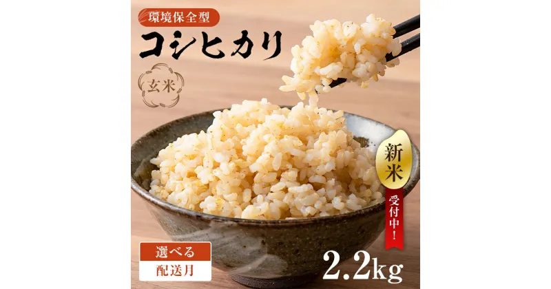 【ふるさと納税】【配送月が選べる】【新米】環境保全型コシヒカリ 玄米2.2kg【2024年産】 千葉県 南房総市 お米 米 ブランド米 ご飯 離乳食 米作り おにぎり 赤ちゃん お弁当 栄養 お取り寄せ グルメ 送料無料