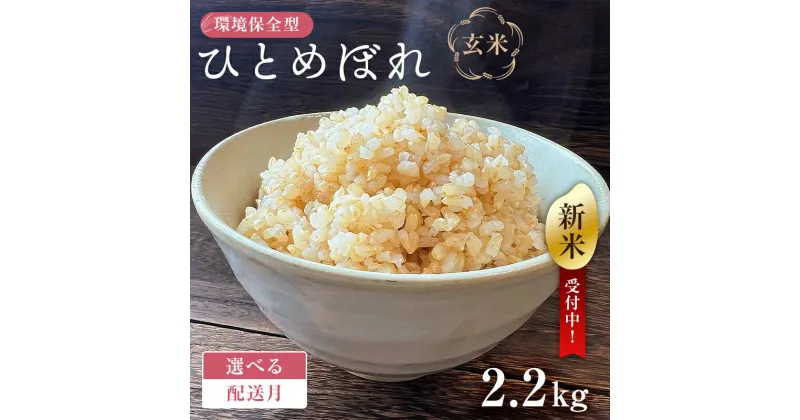 【ふるさと納税】【配送月が選べる】【新米】環境保全型ひとめぼれ 玄米2.2kg【2024年産】 千葉県 南房総市 ブランド米 お米 米 ご飯 米作り 離乳食 お弁当 おにぎり 栄養 赤ちゃん お取り寄せ グルメ 送料無料