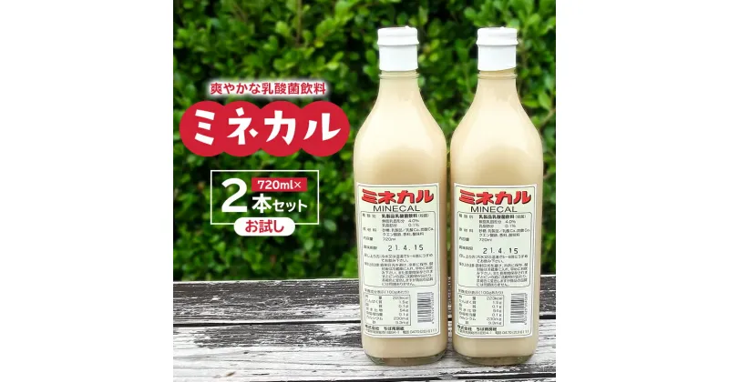 【ふるさと納税】乳酸菌飲料 ミネカル ×2本セット 千葉県 南房総市 乳酸菌 鉄分 カルシウム お取り寄せ 送料無料