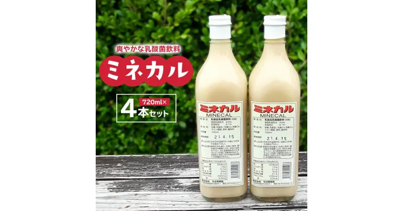 【ふるさと納税】乳酸菌飲料ミネカル×4本セット 千葉県 南房総市 乳酸菌 鉄分 カルシウム お取り寄せ 送料無料