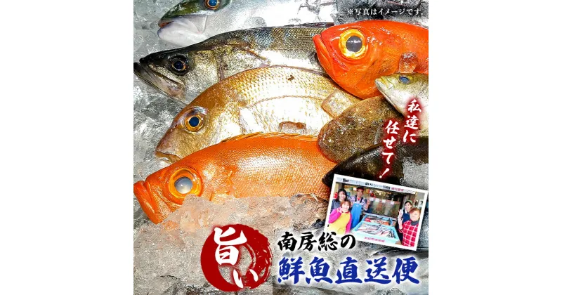 【ふるさと納税】 私達に任せてみませんか 南房総の旨い鮮魚直送便 千葉県 南房総市 グルメ 絶品 お刺身 新鮮 活きの良さ 旨味 茹で 魚介 磯の 香り 福袋 グリル 煮付け 地魚 送料無料