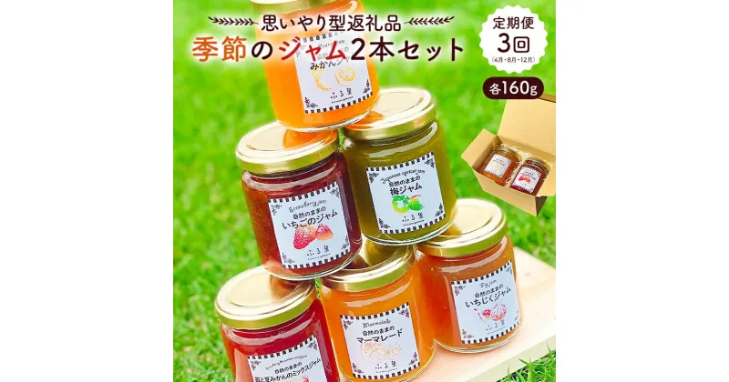 【ふるさと納税】 定期便 思いやり型返礼品 季節のジャム2本セット（160ml×2本）×3回（4月・8月・12月）お届け 千葉県 南房総市 旬 フルーツ いちご みかん ブルーベリー 梨 りんご ゆず いちじく 手作り 道の駅 送料無料