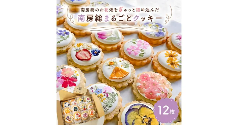 【ふるさと納税】 のし対応可能 南房総まるごとクッキー12枚入（カレンデュラ＆レモン、菜の花＆落花生） 千葉県 南房総市 お花畑 綺麗な エディブルフラワー 手作り キンセンカ 焼き菓子 洋菓子 スイーツ 送料無料