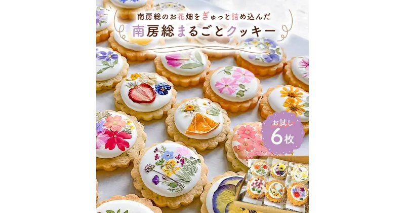 【ふるさと納税】南房総まるごとクッキー6枚入（カレンデュラ＆レモン、菜の花＆落花生） 千葉県 南房総市 お花畑 綺麗な エディブルフラワー 手作り キンセンカ 焼き菓子 洋菓子 スイーツ お菓子 送料無料