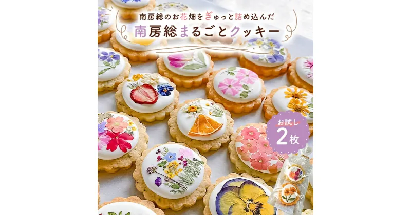 【ふるさと納税】 南房総まるごとクッキー2枚入（カレンデュラ＆レモン、菜の花＆落花生） 千葉県 南房総市 お花畑 綺麗な エディブルフラワー 手作り キンセンカ 焼き菓子 洋菓子 スイーツ お菓子 ギフト お試し 送料無料