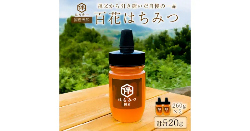 【ふるさと納税】【国産・100％天然】百花はちみつ2本セット（260g×2本・とんがりポリ容器）祖父から引き継いだ自慢の一品 千葉県 南房総市 お取り寄せグルメ 自然 パン ヨーグルト コーヒー 紅茶 ビタミン ミネラル 酵素 栄養素 送料無料