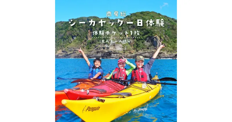 【ふるさと納税】 南房総シーカヤック1日体験（大人お一人様分） 千葉県 南房総市 アウトドア レジャー ビーチ スポーツ マリンスポーツ 海 自然 カヤック 送料無料