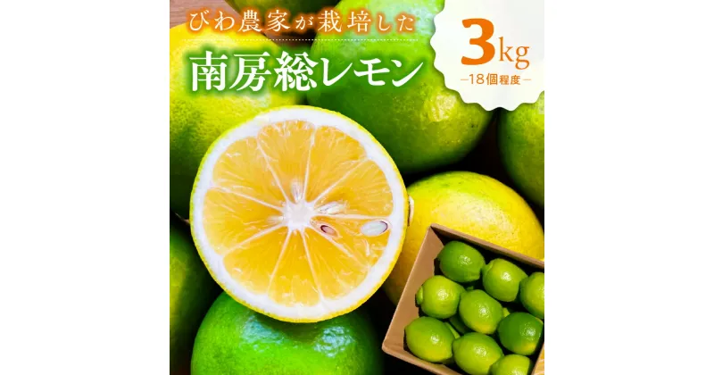 【ふるさと納税】びわ農家が栽培した 南房総レモン 3kg 千葉県 南房総市 ちばエコ農産物 ユーレカ 調味料 果物 フルーツ グリーンレモン イエローレモン 柑橘 お取り寄せ グルメ 送料無料