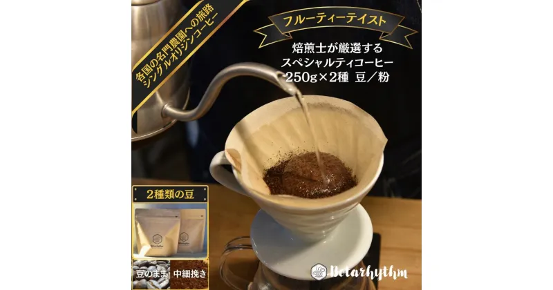 【ふるさと納税】【種類が選べる】 スペシャルティーコーヒー フルーティーテイスト 250g×2種類 豆/粉 千葉県 南房総市 飲み物 コーヒー 豆のまま 中細挽き 果実味 芳醇 焙煎師 セレクト オリジナル レシピ同封 風味 送料無料