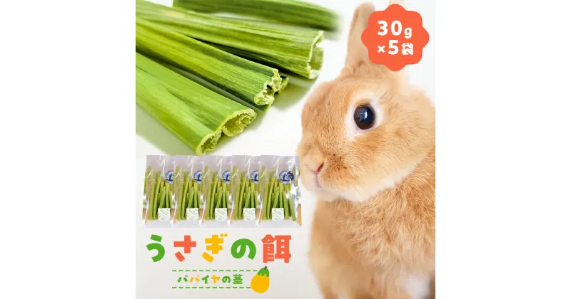 【ふるさと納税】 うさぎの餌（30g×5袋） 千葉県 南房総市 エサ ペット ペットの餌 栄養価 健康 ごはん ペットフード おやつ 小動物 フード ペットご飯 ビタミン ポリフェノール 動物 パパイヤ セット 送料無料