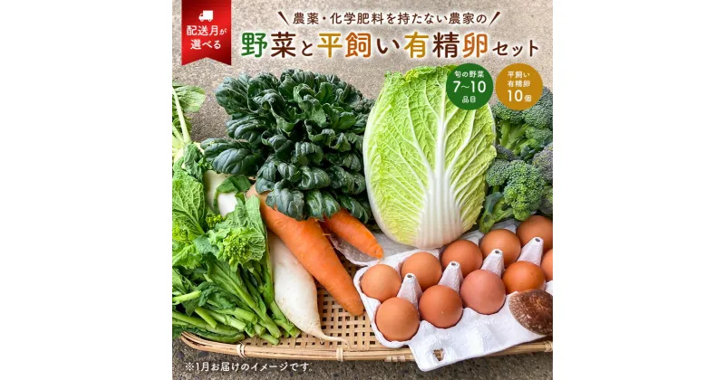 【ふるさと納税】【配送月が選べる】 農薬・化学肥料を持たない農家の野菜（7〜10種類）と 平飼有精卵のセット 千葉県 南房総市 旬 指定野菜 卵 加工品 果物 蒟蒻 味噌 露地栽培 自家栽培 鶏卵 農業 農家 キャベツ きゅうり さといも 大根 送料無料