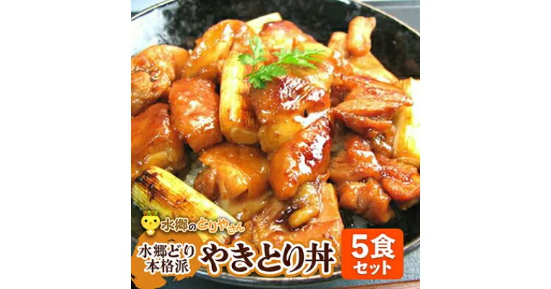 【ふるさと納税】水郷どり本格派やきとり丼5食セット/鶏肉専門店「水郷のとりやさん」【配送不可地域：離島・沖縄県】【1035329】