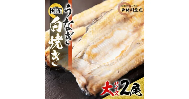 【ふるさと納税】戸村川魚店の国産うなぎ 白焼き大サイズ 2尾 セット_ 鰻 ウナギ 蒲焼 うな重 うな丼 ひつまぶし 土用 丑の日 人気 送料無料 【配送不可地域：離島・沖縄県】【1039045】