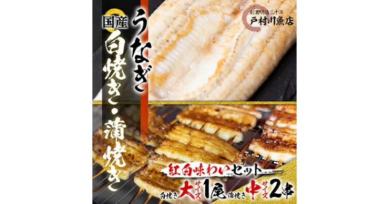 【ふるさと納税】【紅白味わいセット】国産うなぎの白焼き大1匹・蒲焼き中2串《戸村川魚店》【配送不可地域：離島・沖縄県】【1039046】