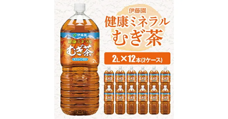 【ふるさと納税】 伊藤園 健康ミネラルむぎ茶 2L × 12本 ( 2ケース )_ お茶 飲料 ソフトドリンク まとめ買い 常備品 麦茶 むぎ茶 【配送不可地域：離島・沖縄県】【1121131】