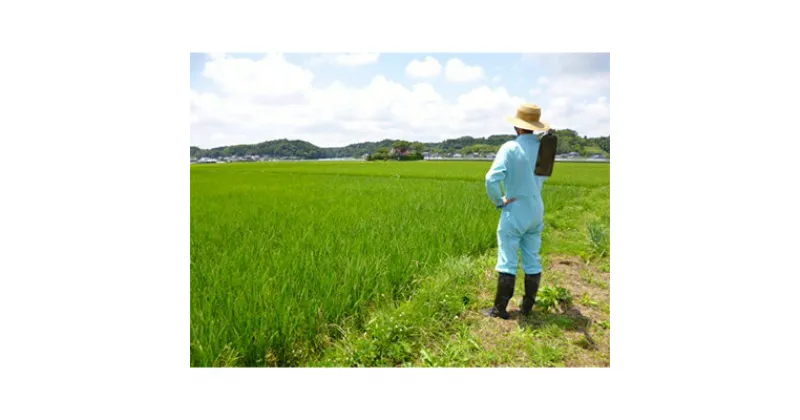 【ふるさと納税】変な鮨屋の鮨懐石　半農半鮨　まこと屋のお食事券(1名様分)【配送不可地域：離島・沖縄県】【1128312】