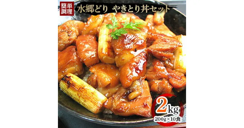 【ふるさと納税】水郷どり本格派やきとり丼10食セット/鶏肉専門店「水郷のとりやさん」【配送不可地域：離島・沖縄県】【1018064】