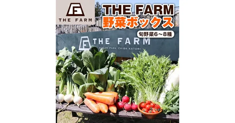 【ふるさと納税】THE FARMの 野菜 詰め合わせセット こだわり厳選した旬な野菜をお届け!【配送不可地域：離島・沖縄県】【1263207】