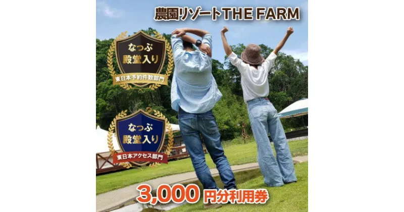 【ふるさと納税】BBQやキャンプなども楽しめる複合施設 THE FARM利用券　3,000円分【配送不可地域：離島・沖縄県】【1273195】