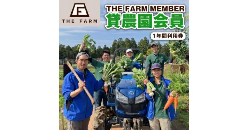 【ふるさと納税】 ザファーム 貸農園会員 ( THE FARM MEMBER) 1年間 利用券 _ 体験 野菜 子供 親子 野菜 【配送不可地域：離島・沖縄県】【1041116】