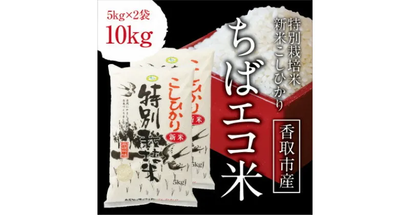 【ふるさと納税】千葉県産 ちばエコ米コシヒカリ5kg×2袋【配送不可地域：離島・沖縄県】【1360939】