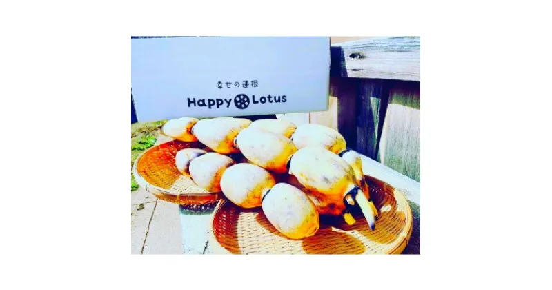 【ふるさと納税】ちばガストロノミーAWARD選出!　　　　幸せの有機栽培レンコン「HappyLotus」　2kg【配送不可地域：離島・沖縄県】【1372837】