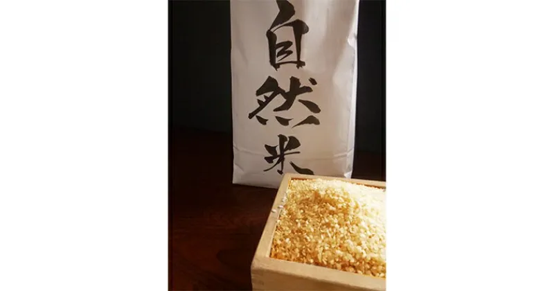 【ふるさと納税】【令和6年産　新米】自然米(玄米4kg)【配送不可地域：離島・沖縄県】【1066042】