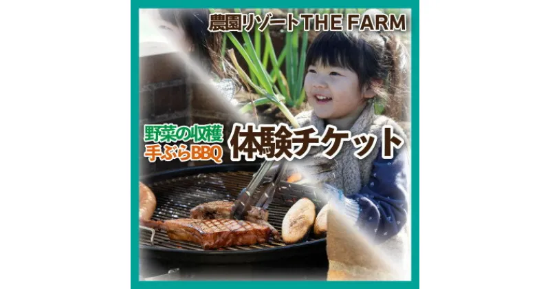 【ふるさと納税】THE FARMで収穫体験&採れたて新鮮野菜をBBQで食べる贅沢な食体験(2名様)【配送不可地域：離島・沖縄県】【1422348】