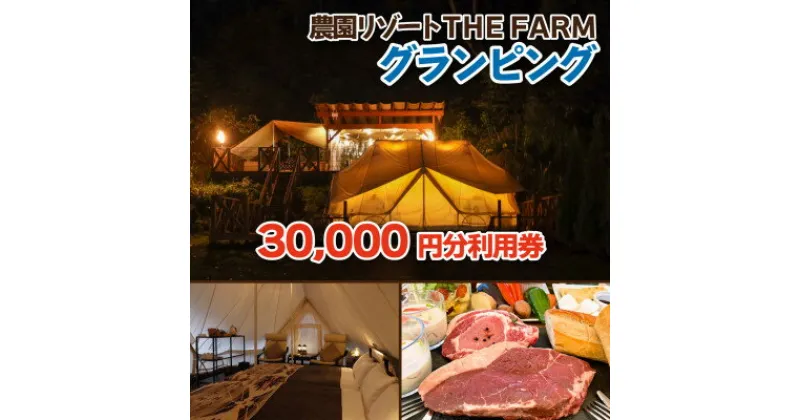 【ふるさと納税】グランピング宿泊にも使えるTHE FARM利用券【配送不可地域：離島・沖縄県】【1422343】