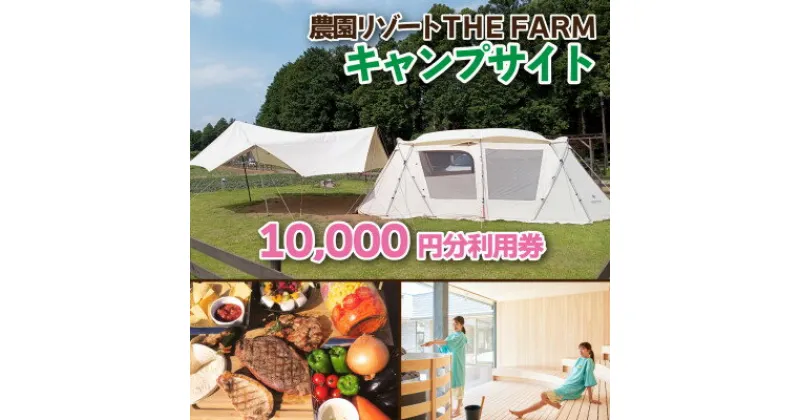 【ふるさと納税】キャンプサイトにも使えるTHE FARM利用券【配送不可地域：離島・沖縄県】【1422680】