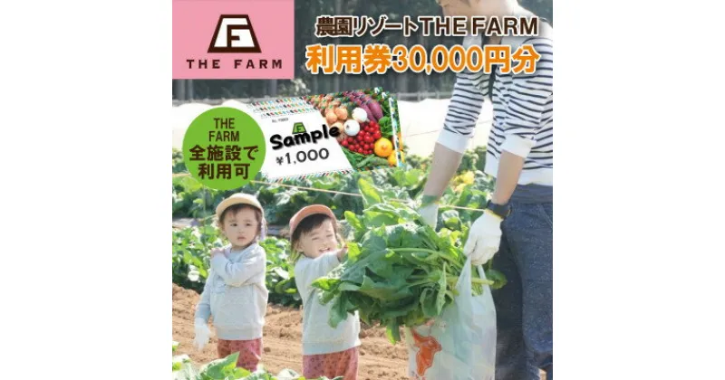 【ふるさと納税】BBQやキャンプなども楽しめる複合施設 THE FARM利用券30,000円分【配送不可地域：離島・沖縄県】【1435763】