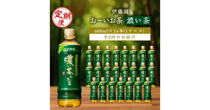 【ふるさと納税】【毎月定期便】おーいお茶濃い茶600ml 24本(1ケース)伊藤園全3回【配送不可地域：離島・沖縄県】【4003290】