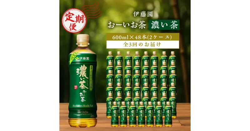 【ふるさと納税】【毎月定期便】おーいお茶濃い茶600ml 48本(2ケース)伊藤園全3回【配送不可地域：離島・沖縄県】【4003293】