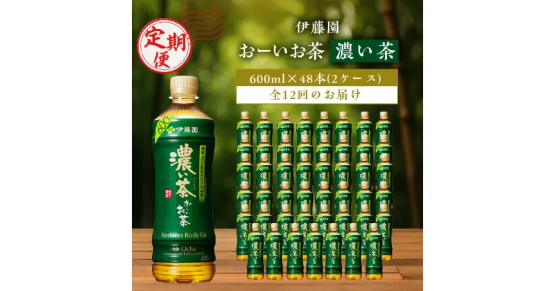 【ふるさと納税】【毎月定期便】おーいお茶濃い茶600ml 48本(2ケース)伊藤園全12回【配送不可地域：離島・沖縄県】【4003295】