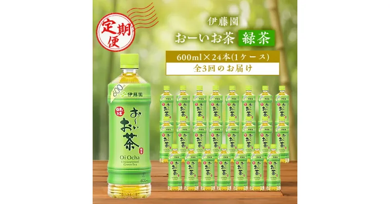 【ふるさと納税】【毎月定期便】おーいお茶緑茶600ml 24本(1ケース)伊藤園全3回【配送不可地域：離島・沖縄県】【4003299】