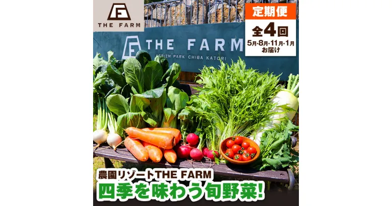 【ふるさと納税】【発送月固定定期便】THE FARMの四季を味わう旬野菜!新鮮野菜の定期便 全4回【配送不可地域：離島・沖縄県】【4003961】