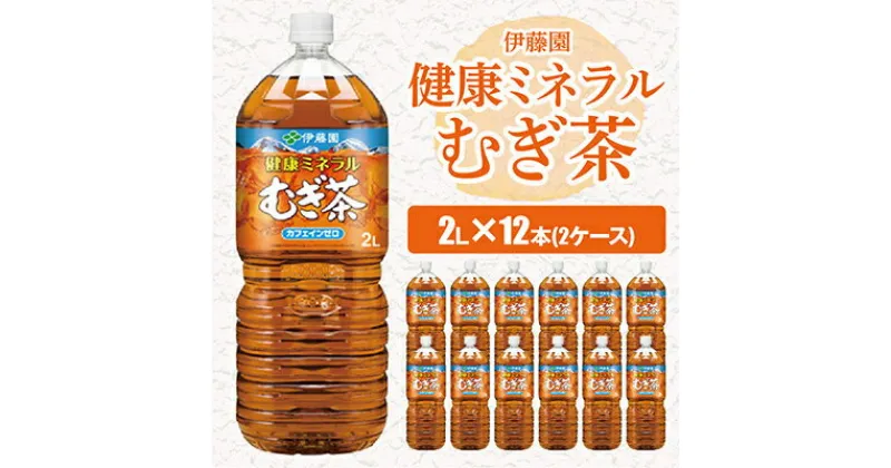 【ふるさと納税】【毎月定期便】伊藤園の健康ミネラルむぎ茶 2L×12本 全3回【配送不可地域：離島・沖縄県】【4014151】