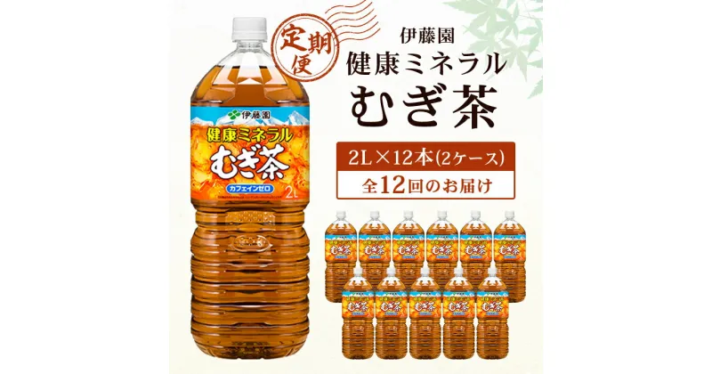 【ふるさと納税】【毎月定期便】伊藤園の健康ミネラルむぎ茶 2L×12本 全12回【配送不可地域：離島・沖縄県】【4014153】