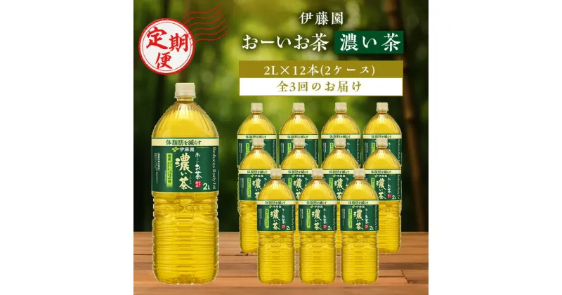 【ふるさと納税】【毎月定期便】伊藤園のお～いお茶 濃い茶2L×12本 全3回【配送不可地域：離島・沖縄県】【4014154】